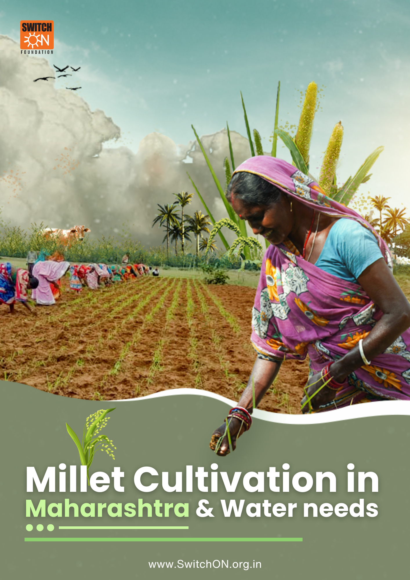 Millet Cultivation in Maharashtra & Water needs