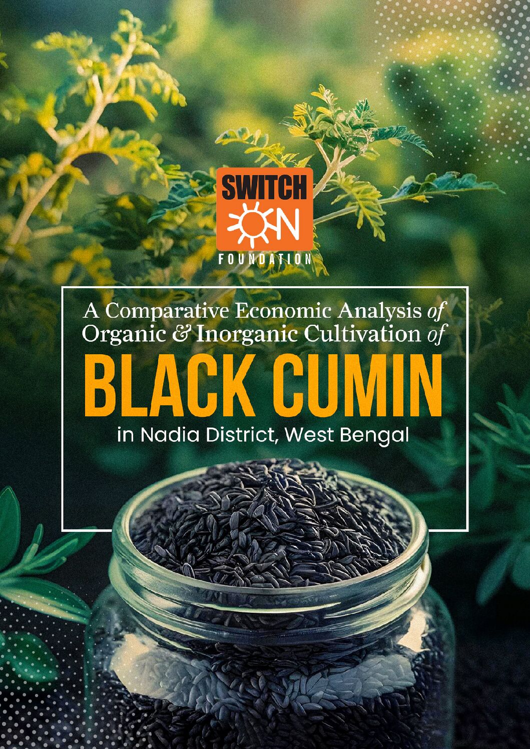 A Comparative Economic Analysis of Organic & Inorganic Cultivation of Black Cumin in Nadia, WB