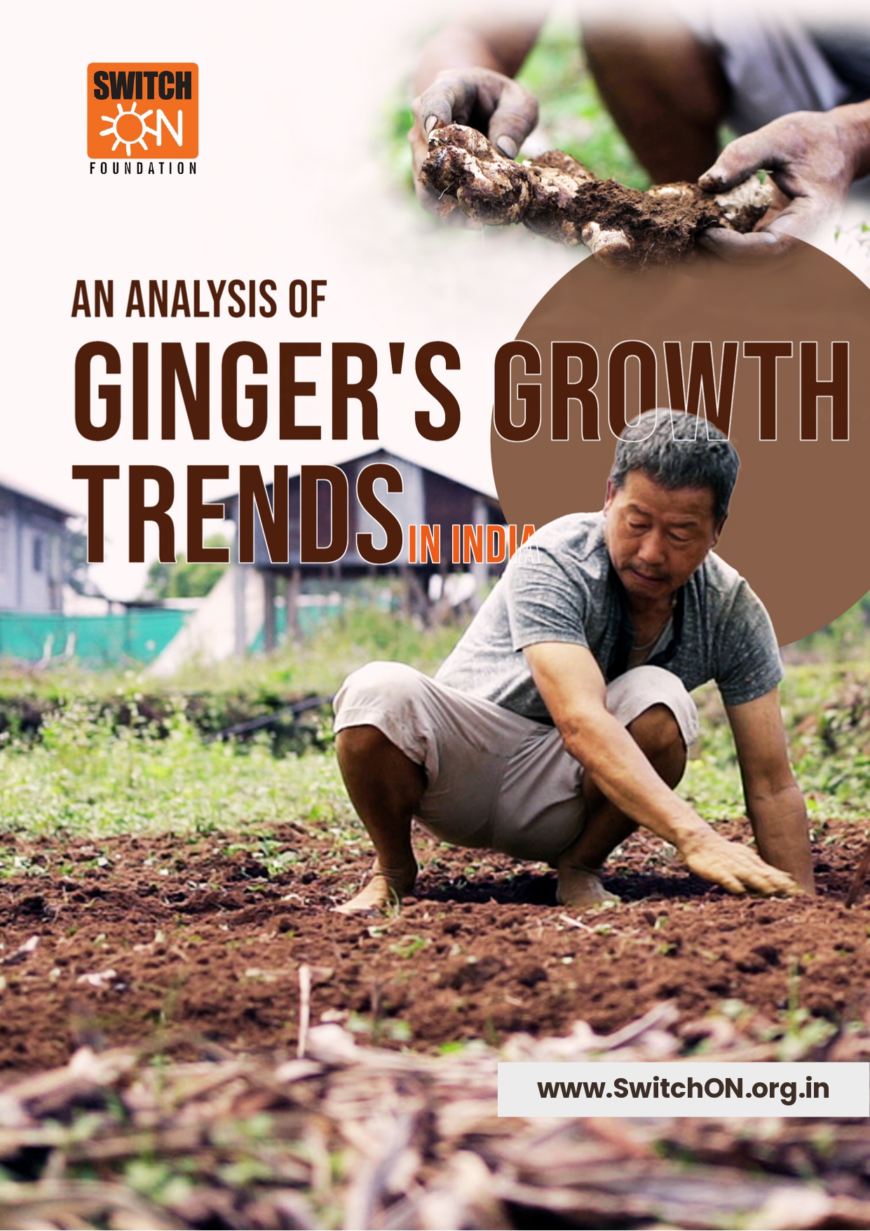 An Analysis of Ginger’s Growth Trends in India