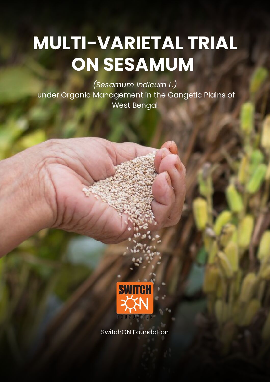 Multi-varietal trial on Sesamum under organic management in the Gangetic plains of West Bengal