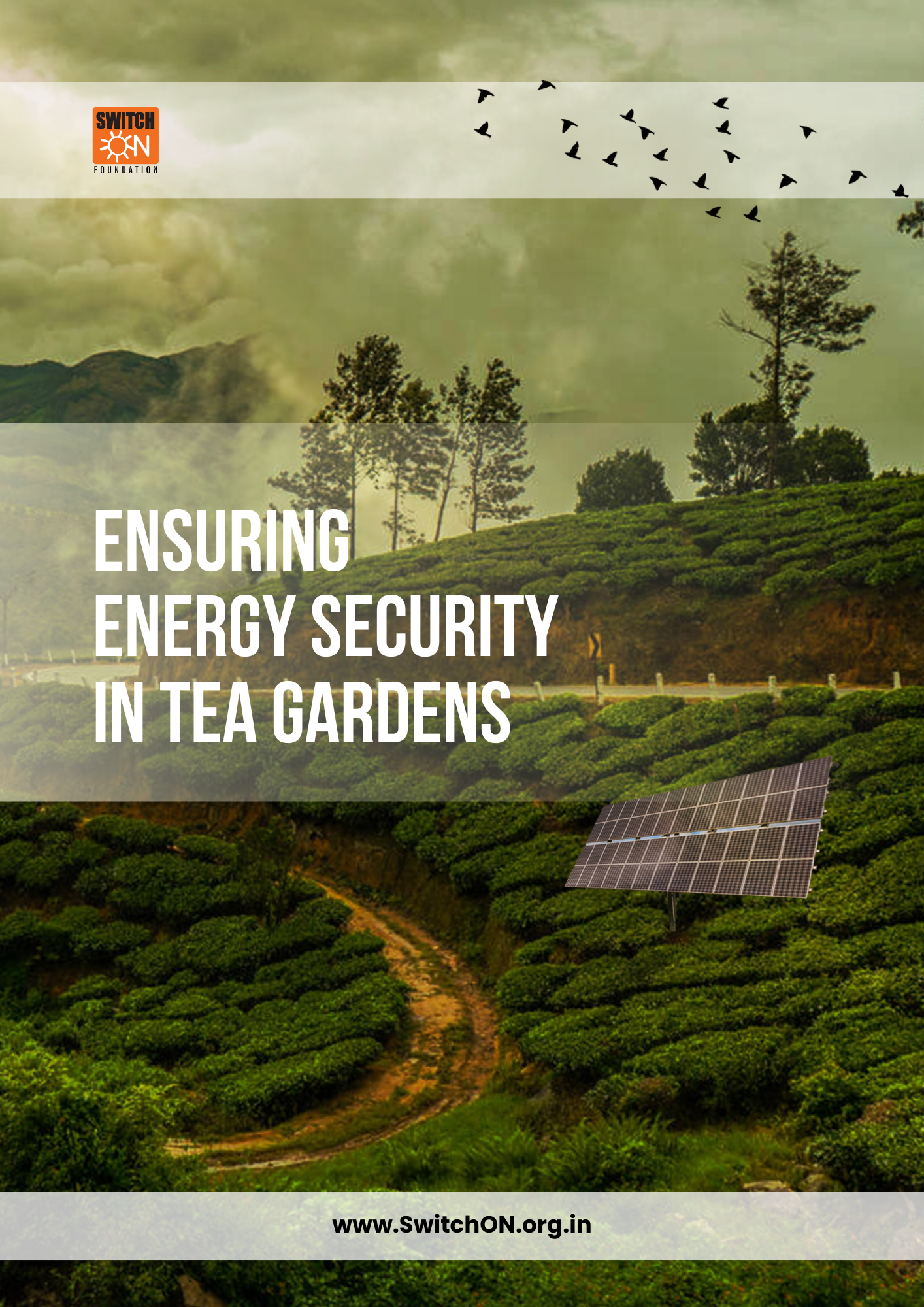 Ensuring Energy Security in Tea Gardens (Summary Report)